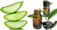  Aloe Vera Tea Tree Oil image 1